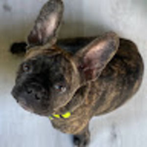 Meet your Posher, Jack